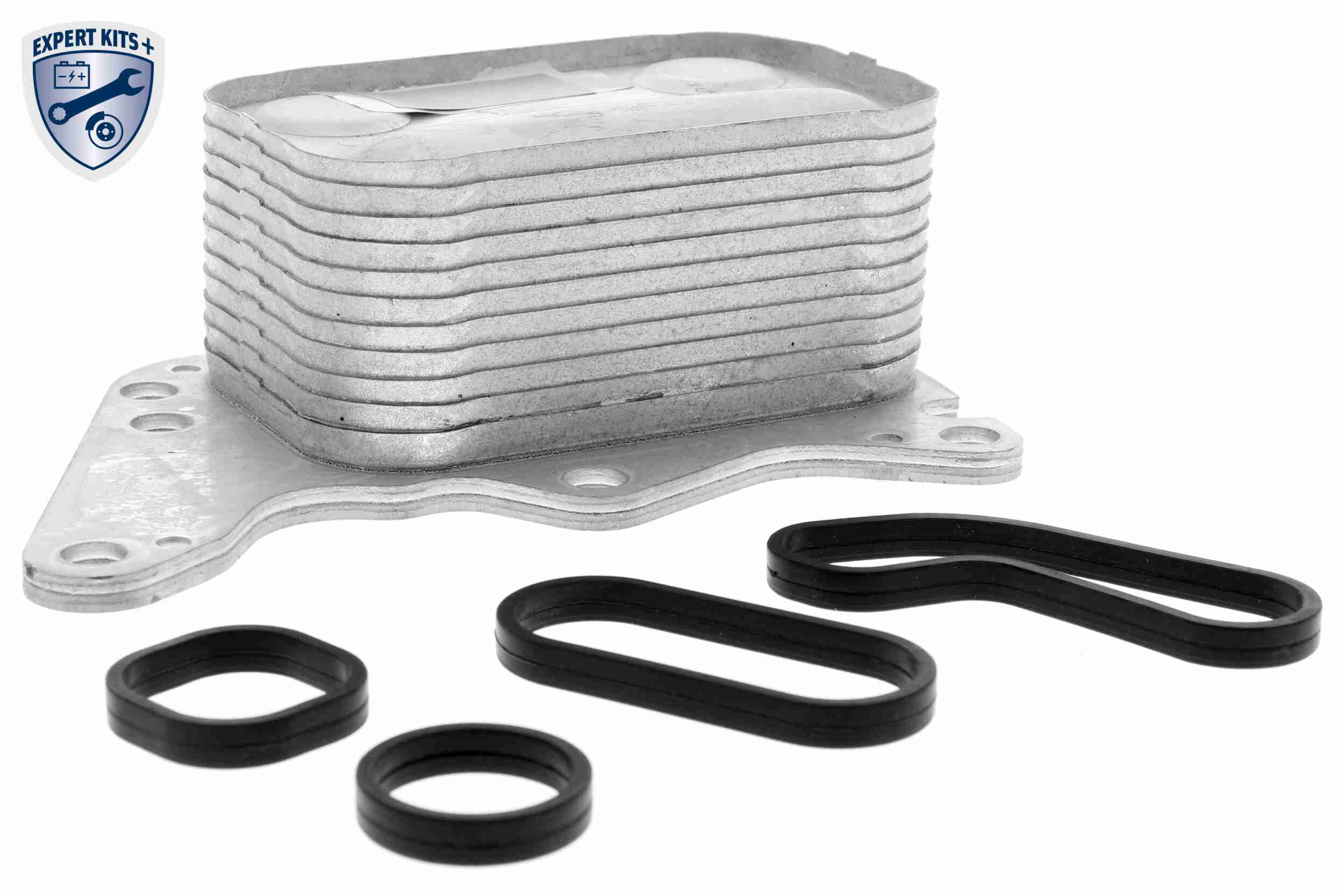 VEMO V42-60-0008 Ölkühler, Motoröl EXPERT KITS +